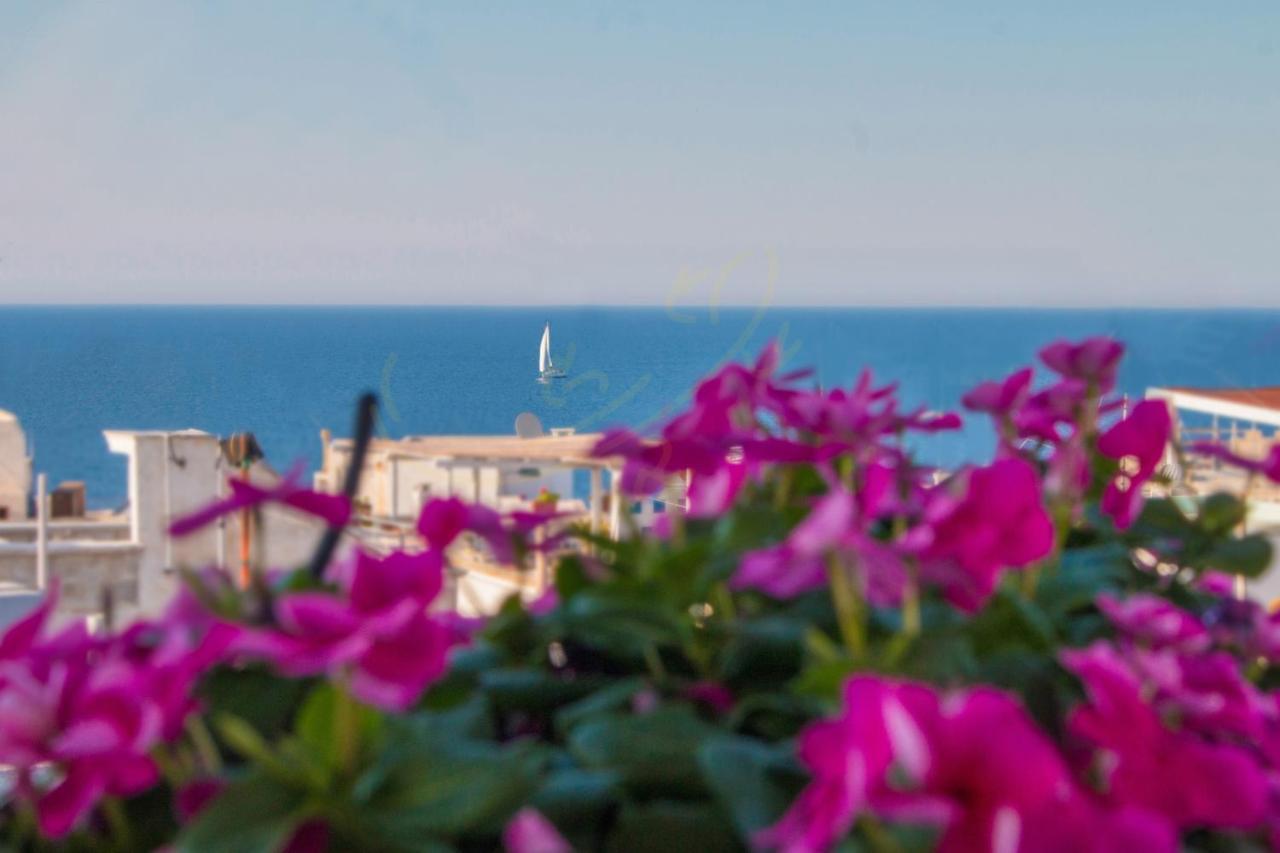 Td Casa Reina In The Historic Center With Terrace Apartment Polignano a Mare Luaran gambar